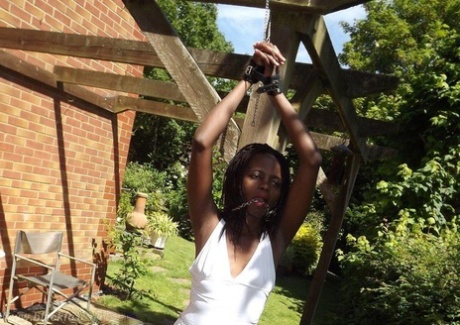 Black Bbc Train hot sexy pictures