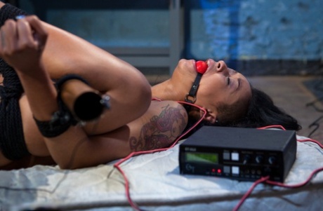 Skin Diamond sexy star archive