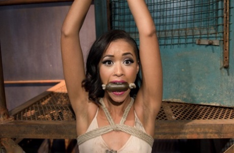 Skin Diamond sexy model galleries