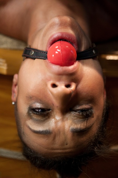 Skin Diamond pornographic star img