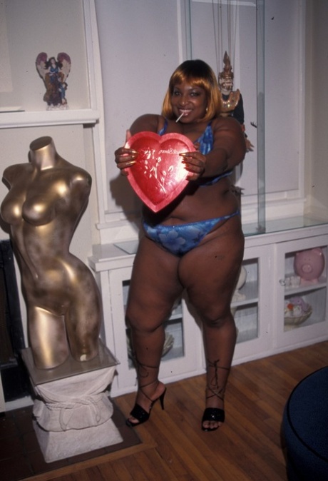 African Sissy Cd adult photo